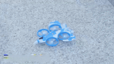 Pro 2-in-1 RC Air & Land Flying Fighter Jet