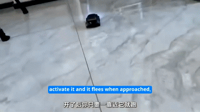 2.4GHz Electric Remote & Induction Controlled Mini Drift Car